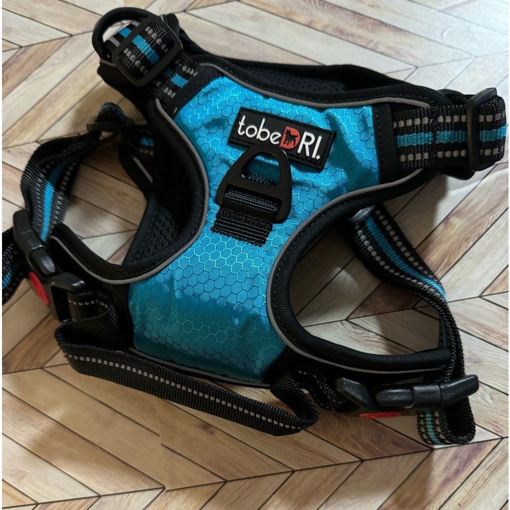 Blue Dog Harness and Leash Set - Picture 6 of 9